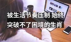 受生活节奏压迫而无法突破困境的十二生肖