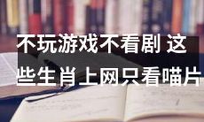 逃避现实？这些生肖不喜欢玩游戏，不看剧，只在网上寻找各种喵片！