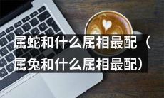 属蛇的人适合和哪些属相的人搭配最好（包括属兔的人适合和哪些属相的人搭配最好）？