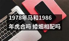 1978年出生的马与1986年出生的虎适合结婚吗?他们的个性是否相容?