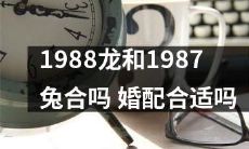 1988年的龙和1987年的兔是否适合结婚？他们的婚姻匹配是否和谐？