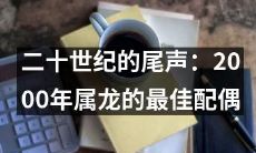 在20世纪世纪末，属龙的人最佳配偶之谜：探寻2000年的答案
