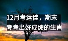 哪些生肖在12月的期末考中可能迎来好运，取得突出成绩呢？