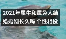 2021年属牛和属兔人的婚姻关系，是否会因为个性相投而长久稳定？
