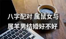 根据八字配对分析，属鼠女与属羊男是否适合结婚？