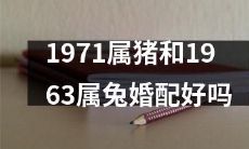 1971年属猪和1963年属兔之间的婚配是否适合？