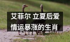 立夏之后,属相艾菲尔的爱情运势变幻莫测,颇有不俗的上涨趋势