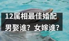 探索12生肖最佳婚姻匹配：男士应该选择哪个属相女性？女士应该嫁给哪个生肖男性？