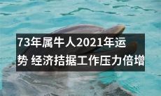 化解2021年经济困境和工作挑战:对73年属牛人的八字风水论运并给出实用建议