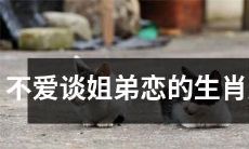 对姐弟恋不感冒的十二生肖男性研究