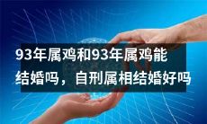 是否可以让1993年的属鸡与同样是属鸡的伴侣走进婚姻殿堂？是否结合具有自相矛盾的属相会对婚姻关系产生积极作用？