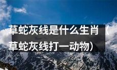 请问，哪种动物是被誉为草蛇灰线的生肖？