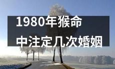 1980年出生的人，他们的猴命中注定会经历几次婚姻？