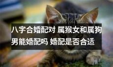 研究八字合婚配对：属猴女和属狗男是否能够婚配，是否合适？