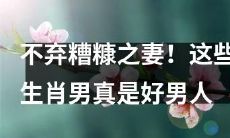这些生肖男不言弃，守护糟糠之妻，展现真正的好男人风范！