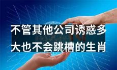 坚守本职工作，不会因其他公司的诱惑而轻易跳槽的生肖大盘点