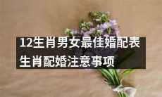 12生肖男女最佳婚配清单：婚事无忧必知事项及提示