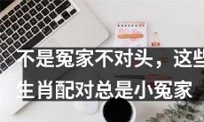 或许是宿敌缘份？这些生肖配对总是小小的冤家
