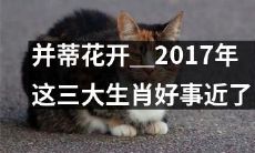 并蒂花开:预示2017年的好运即将降临这三大生肖