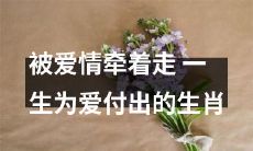 专题：十二生肖中那些一生被爱情牵着走、毫不保留付出的动物