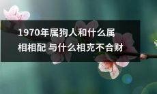 1970年出生的狗年属相人士应该与哪些属相配对，哪些则相克不合，以获得更好的财运？