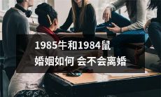 1985年出生的牛和1984年出生的鼠之间所形成的婚姻是否会面临离婚的困境?