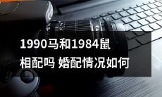1990年出生的马与1984年出生的鼠是否有婚配潜力，其现实情况如何？
