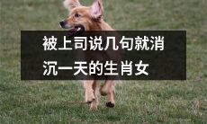 生肖女的敏感脆弱：一句上司的批评足以让她情绪消沉整整一天