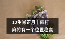 携12生肖闯天下：揭秘正月十四麻将必胜法，掌握一技稳赢的独家位置攻略！