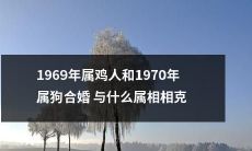 1969年属鸡人与1970年属狗合婚中，需要注意哪些属相的相克关系？