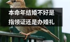 结婚时是否应该避开本命年，包括领证和举办婚礼？