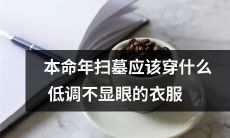 在本命年扫墓，有哪些低调衣服可以穿，不要太显眼？