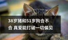 真爱能否战胜年龄差异?一只38岁的猪与一只51岁的狗的爱情故事揭示人们心中的偏见