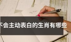 哪些生肖在恋爱时不会主动表白，您了解吗？