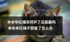 如何应对本命年红绳突然开裂的问题，并且如果不想再戴本命年红绳的话，应该怎样处理？