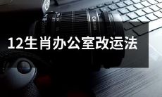 如何利用12生肖改变办公室的运势?