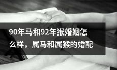 如何评价90年马与92年猴的婚姻匹配度？从星座学角度探讨属马与属猴的婚姻妥协与默契