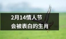 十二生肖中有哪些会在2月14日情人节被表白呢？