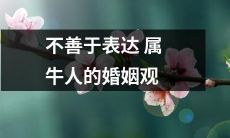 不善于言语表达的属牛人对婚姻的态度和看法的挖掘和分析