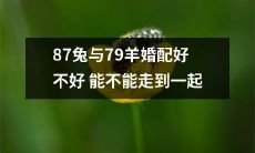 能否让87兔和79羊进行跨物种婚配，并克服潜在的挑战和障碍，最终实现真爱在一起的愿望？