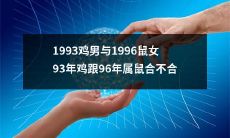 1993年出生的鸡男和1996年出生的鼠女之间是否具有自然的相互吸引与和谐互补关系？
