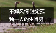 缺乏浪漫情感的生肖男注定孤独一生：探索不同星座男性的爱情观与表现方式