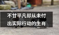 如何将不甘平凡的浮想融入实际行动:一个常常陷入想象的生肖指南