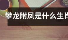 攀龙附凤是哪个生肖的传统象征，具体代表着什么意义？