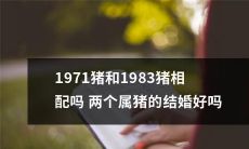1971年和1983年出生的猪宝宝是否适合搭配婚姻？这两只属猪的姻缘能否牵引？