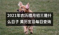 亲爱的读者,请问2021年农历腊月初三是哪一天?还有,你想知道黄历宜忌每日查询的信息吗?来看看吧!