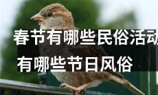 活动是如何庆祝中国春节的？传统的节日习俗有哪些呢？