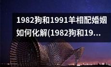 如何处理1982年出生的狗和1991年出生的羊相配婚姻的问题？