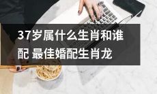 寻找十二生肖之37岁最佳婚配：相伴一生的龙与哪些生肖最为配对？