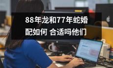 的配对是否具有良好的相容性？——探讨1988年龙和1977年蛇的成功婚配的可能性及相似性分析